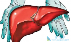 �Ҹ����ӵĸ���ԭ���Ǵ�Ҷ��ҸεĴ���;�����˽�