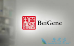 ������������ҩ���������鵥��������Ч������