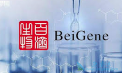 ������(zanubrutinib)���������Ʒ����ư�֢��Ч������