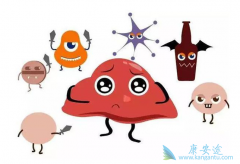 ���ο��������𣿱�����ô����Ч����ѣ�