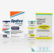 �������ȵ������й��׸����е���������������