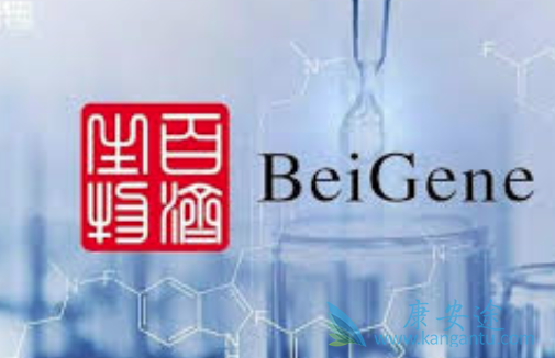 泽布替尼 泽布替尼