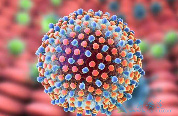 丙肝病毒 丙肝病毒