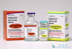 Opdivo����Yervoy��������Сϸ���ΰ����ߵ�������