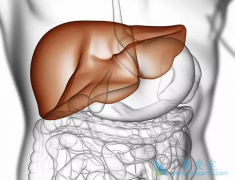 �Ҹθ�Ⱦ�ᵼ�»��߷�չ��θ���ļ���������