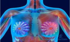 ���ٰ����κ��𣿲�ͬ�������ٰ��������ʷֱ��Ƕ��٣�