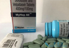 ӡ�ȼ�����(MyHep All)���������Ƕ��٣�