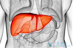 ���ο����鲻���ж��Ƿ���ڱ��β���