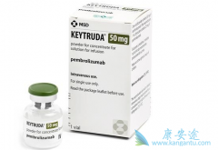 �������鵥��(Keytruda)�ܹ�����Сϸ���ΰ���