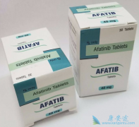 ��������(Afatinib)���ϱ�����������Ч�յ�T790Mͻ������ת��