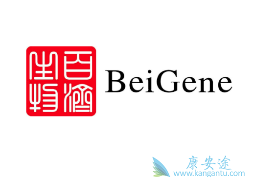 泽布替尼 泽布替尼