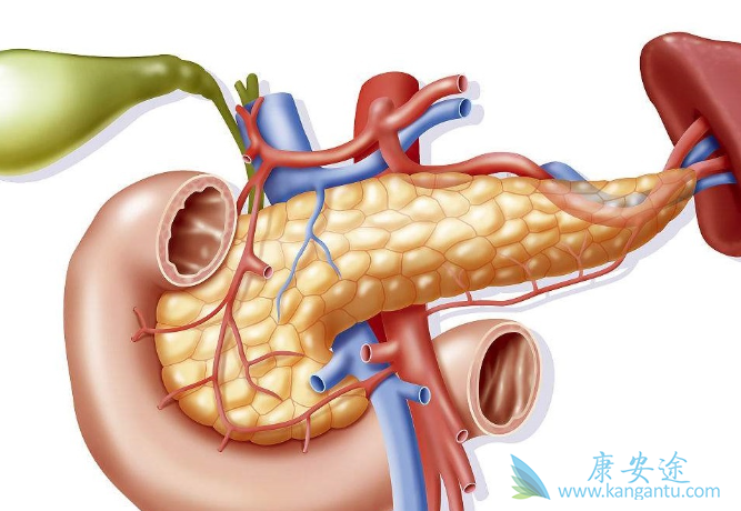 胰腺癌的治疗 胰腺癌的治疗