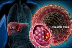 �Ҹο���ᱻ�Ҹβ������ĵ���