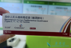 �ż�HPV���缴������ȫ�µķ�α��װ
