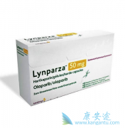 ��������Ŀǰ�ܹ�����ǰ���ٰ���������