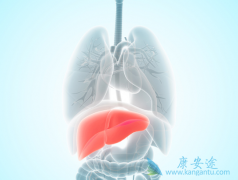 ���ο����κ��𣿱������������ʱ����