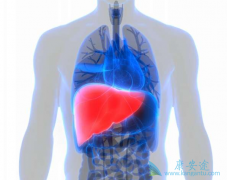 ���ο�������ֵԽ���ǲ��Ǿʹ������ڱ��β���Խ�ࣿ