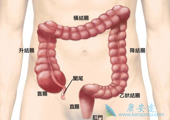 结直肠癌 结直肠癌