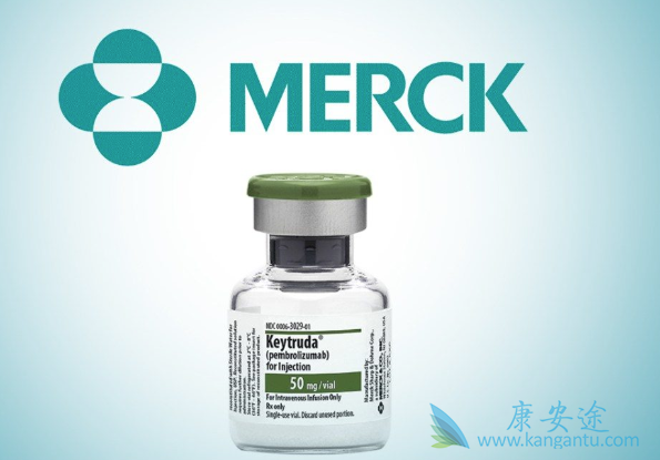 小细胞肺癌 小细胞肺癌