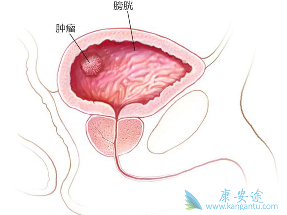 ����ҽ��