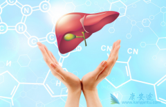 ʲô�Ǳ��Σ����Ա��ο��ݻ�������������