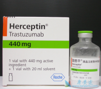 HER2�������ٰ���������Ӧ���ȿ��Ǻ���͡/�����鵥��