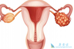 �ѳ��������������޲������Ļ����ܻ��ã�