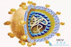 ֱ�ӿ�����ҩ�����Ʊ��οɽ��ͻ��������ʺ���ΰ��ķ���