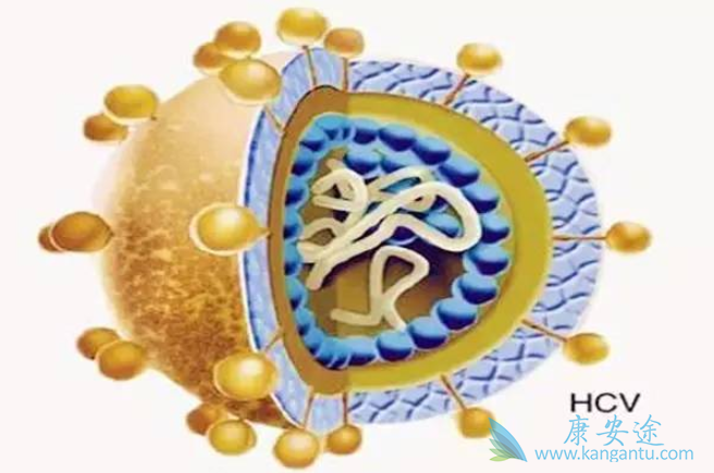 丙肝 丙肝