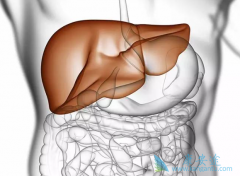 �����Ҹ�С������Ҫ����Ǯ����ν������Ʒ��ã�