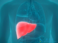 ���͸��׻��߽����Ҹο��������ƺ�ʱ���ܰ�ȫͣҩ��