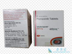 ��������(pazopanib)�ǻ��ƺ�ת��������֯�����ձ����ߵ�������ѡ��