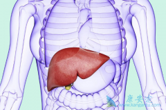 HCV��Ⱦ�������׳����ȵ��صֿ���