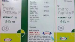 ��������/����������GIST���������ư�ȫ������������