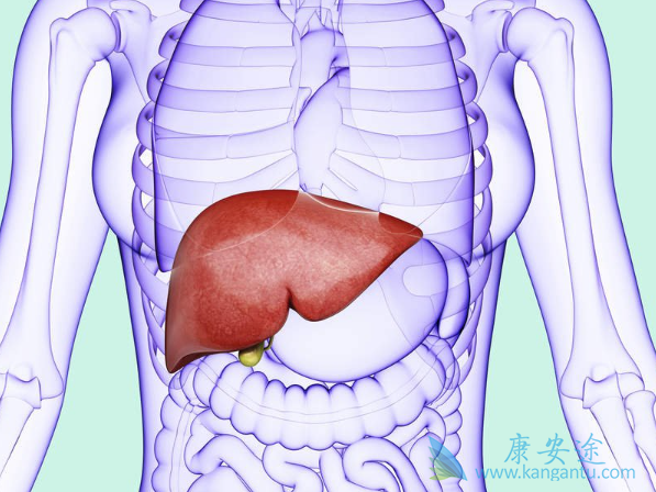 抗病毒治疗 抗病毒治疗