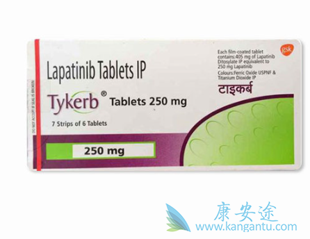 拉帕替尼 拉帕替尼