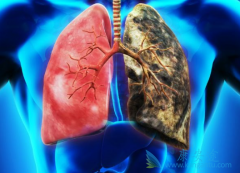 Сϸ���ΰ����ڻ��߷��Ʋ��˳���ÿ��1��