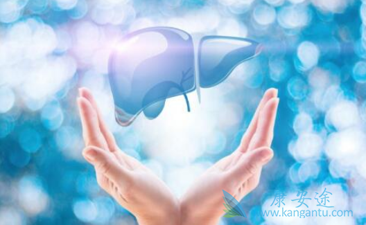 乙型肝炎 乙型肝炎