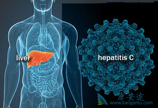 丙肝病毒 丙肝病毒