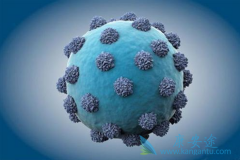 ʲô�Ǳ��Σ�Ϊ�α��β�����������Ǳ����