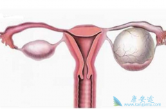 ����������PRAP���Ƽ�������Ϊ�ѳ���ά�����Ƶ�ѡ�񷽰�