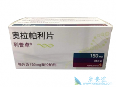 PARP���Ƽ�������������ѳ����⻹�����������ٰ�����