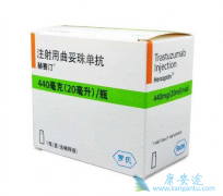 ����͡(Herceptin)��HER2�������ٰ���ǰ������ѡ����