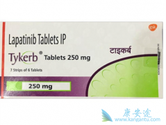 ��������������(lapatinib)����ת�Ʋ���Ŀ����ʣ�