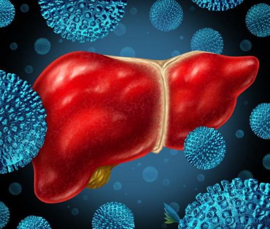 丙肝病毒定量正常值 丙肝病毒定量正常值