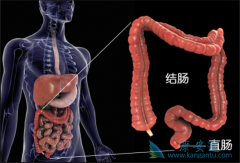 ���̻����ӽ�����Ⱥ���ֱ�����ķ���