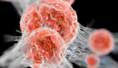 ���Ԥ����֢����Щ����������ЧԤ����֢��