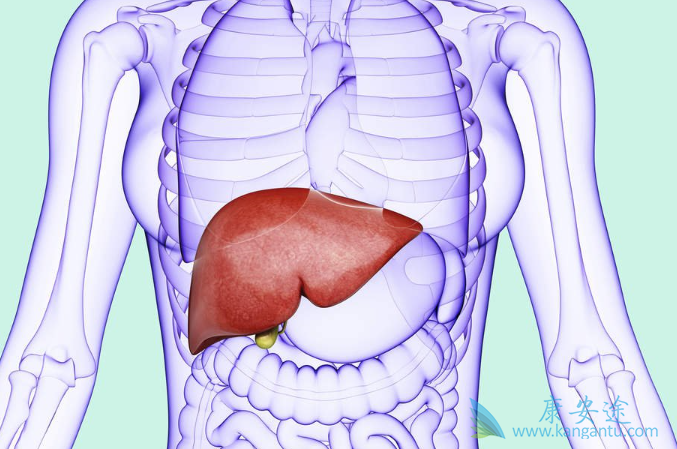丙肝的治疗 丙肝的治疗