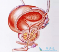 �����ϳ���������ǰ���ٰ���ҩ������Щ����Ч�ֱ���Σ�