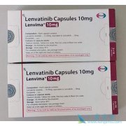 �ַ���������HBV��ظΰ����ߵ�����Ч��������������